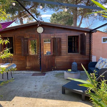 Chalet Des Oliviers 20Mn Des Plages Climatise Béziers Dış mekan fotoğraf