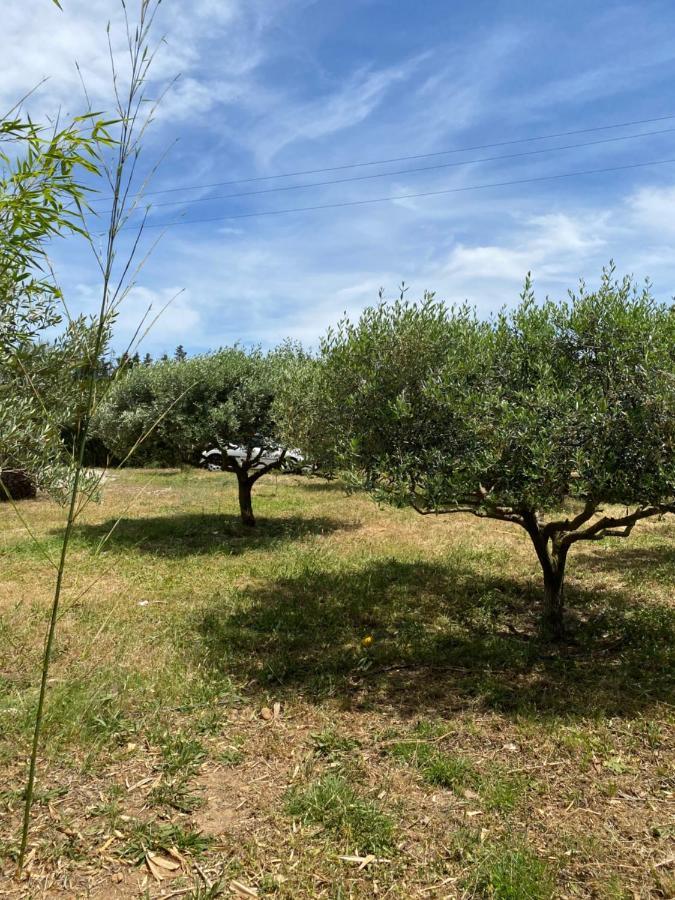 Chalet Des Oliviers 20Mn Des Plages Climatise Béziers Dış mekan fotoğraf